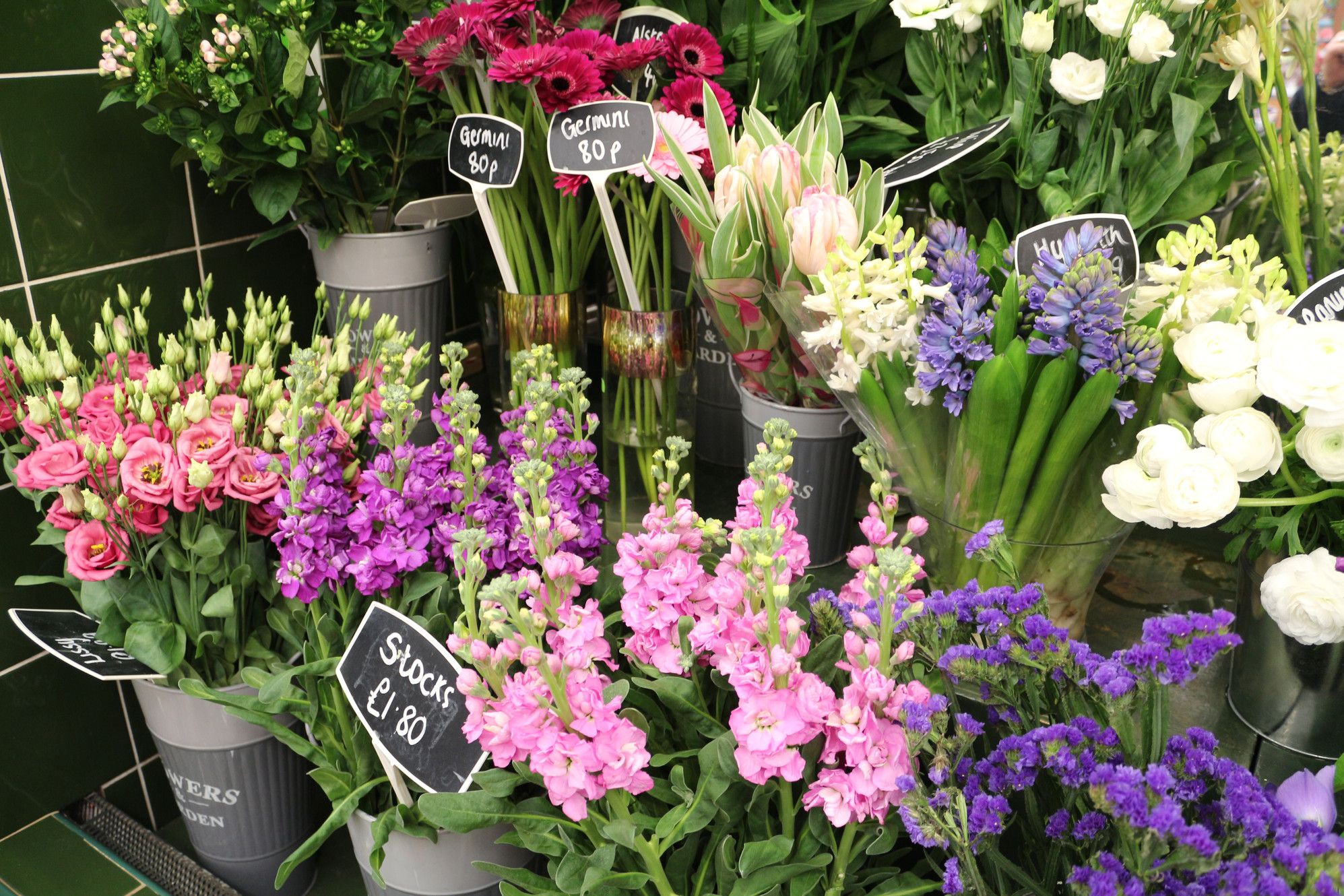 Bardill's Garden and Aquatic Centre