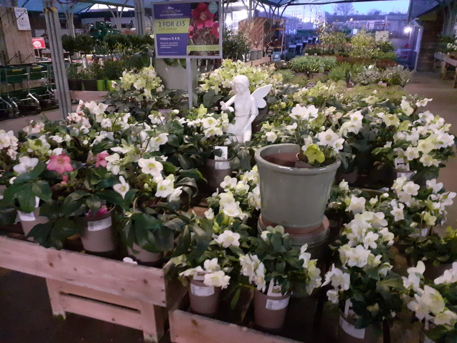 Hillier Garden Centre