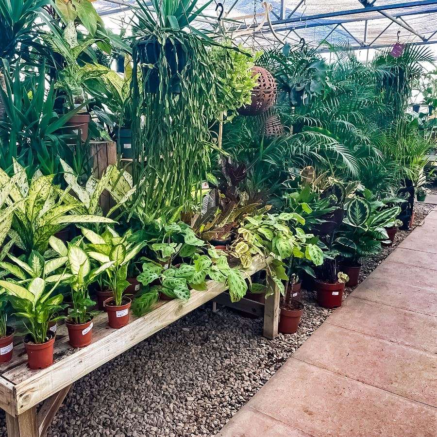 Hudsons Plant Centre