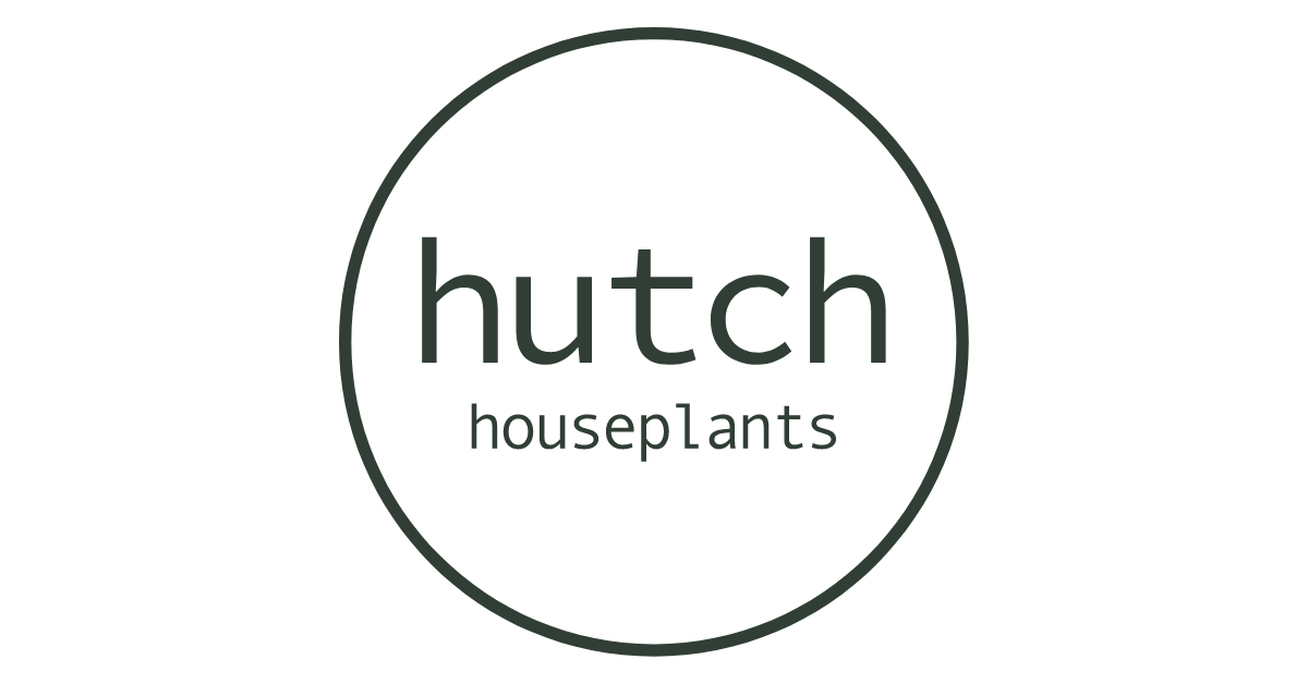 hutch houseplants